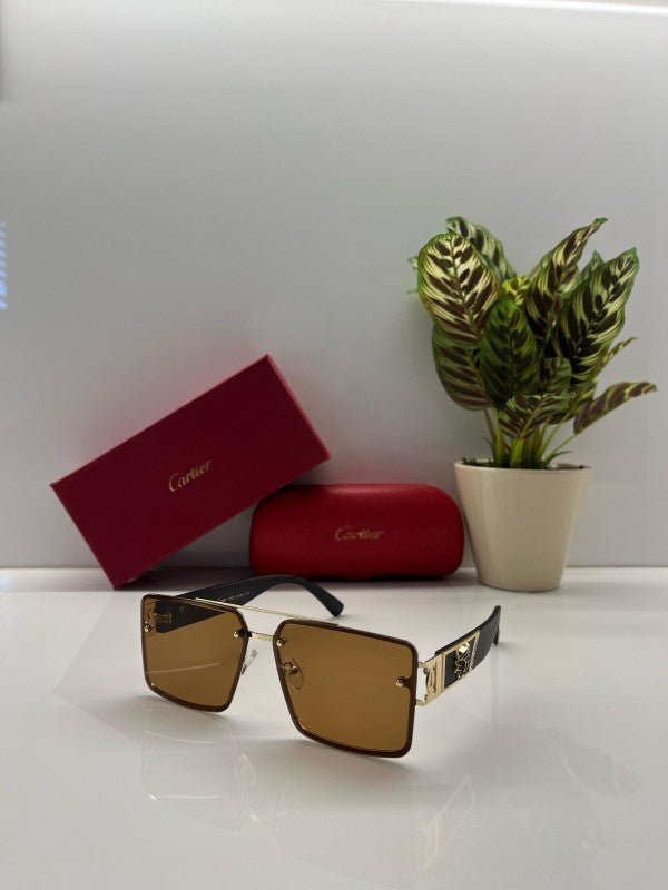 Branded Ctier Gold Brown Sunglasses EW (With Original Kit) - Image 3